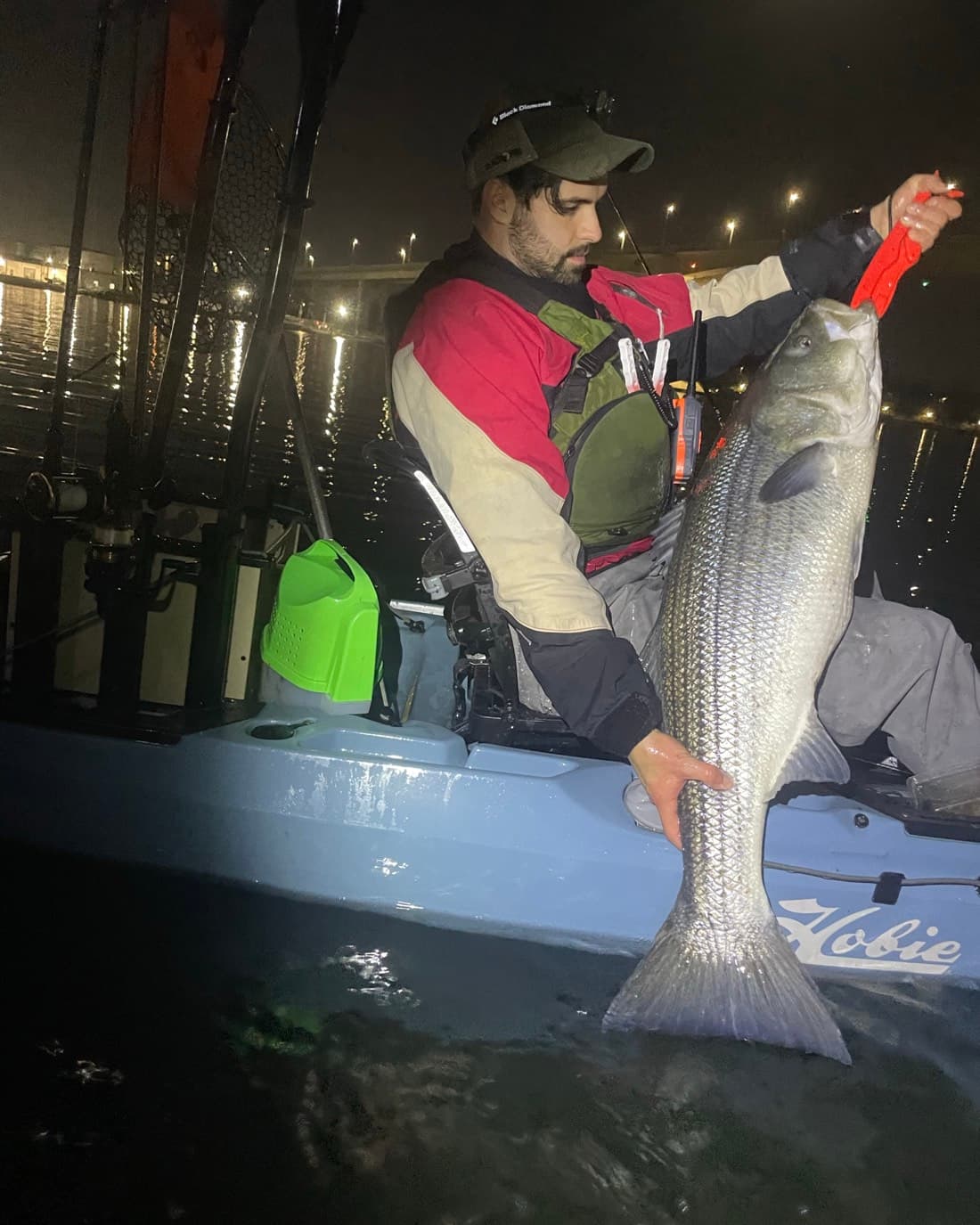 Striped Bass catch, 48 inches