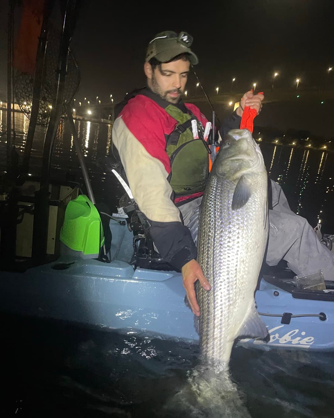 Striped Bass catch, 36 inches