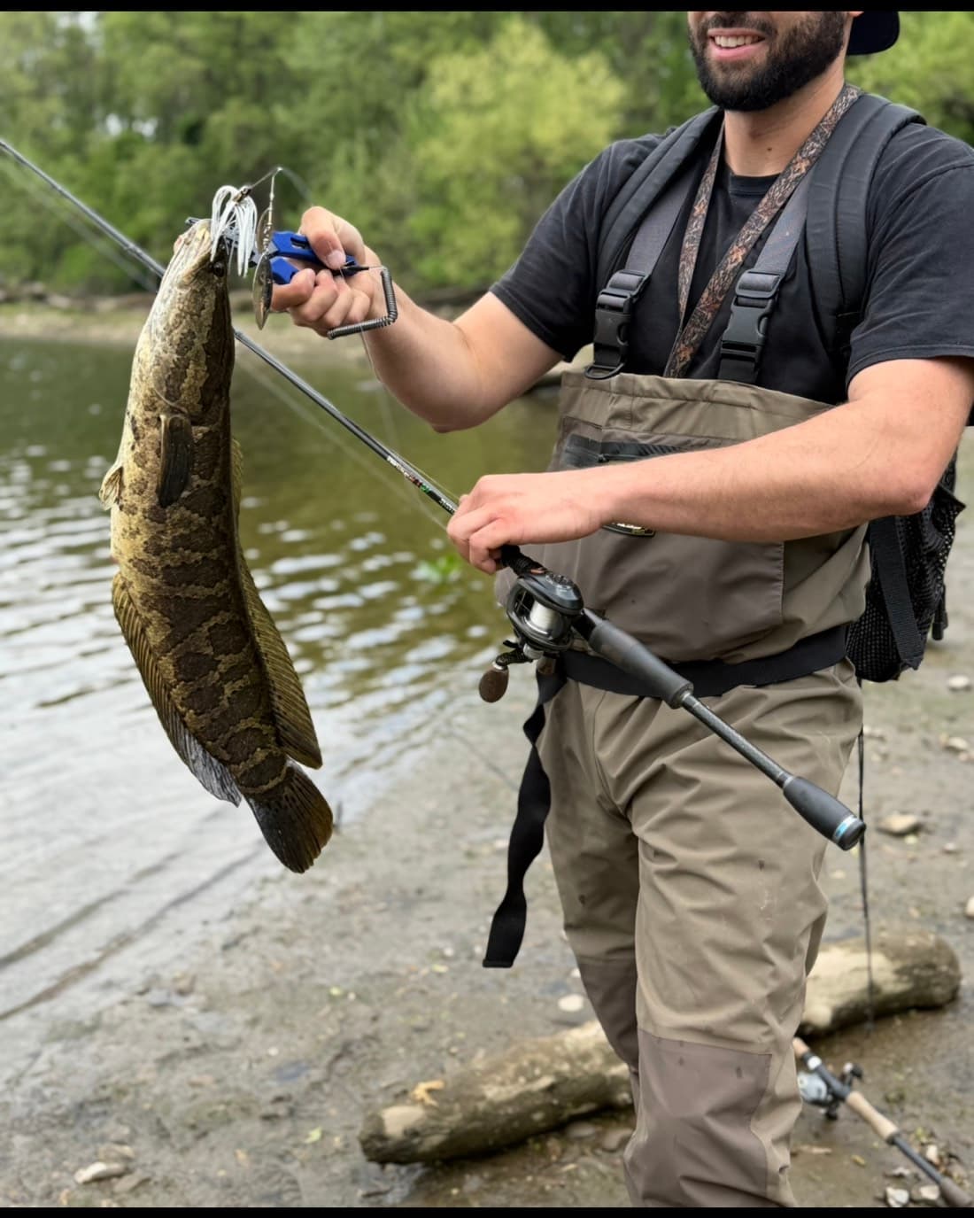 Northern Snakehead catch, 22 inches