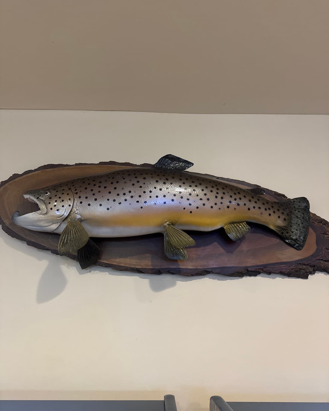 Brown Trout catch, 29.8 inches