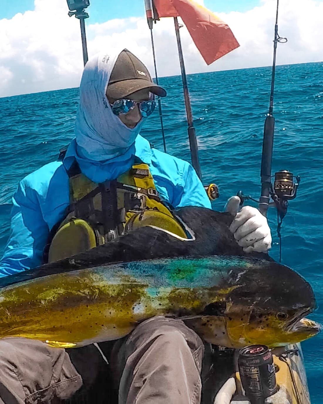 Mahi-Mahi catch, 48 inches