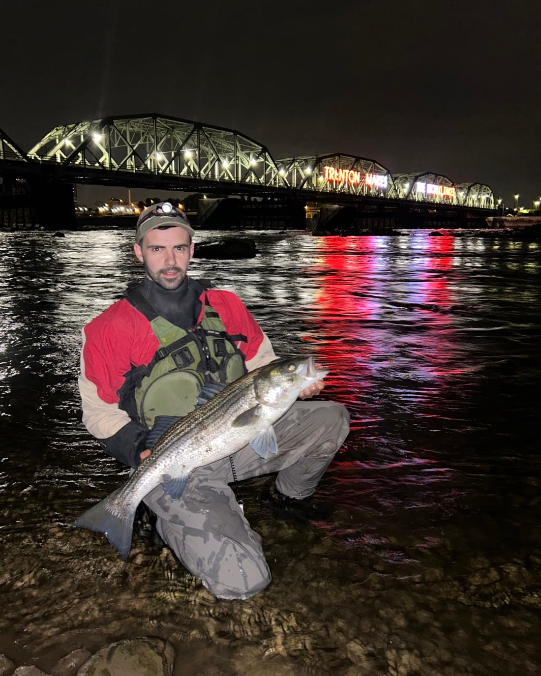 Striped Bass catch, 31 inches