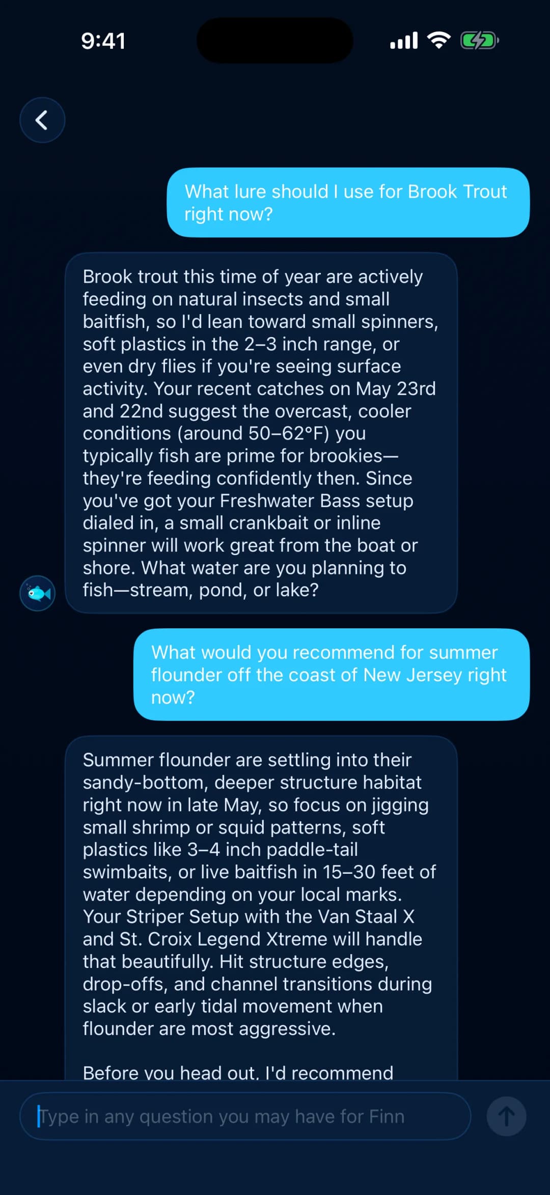 Finn Fishing Assistant, Ask anything