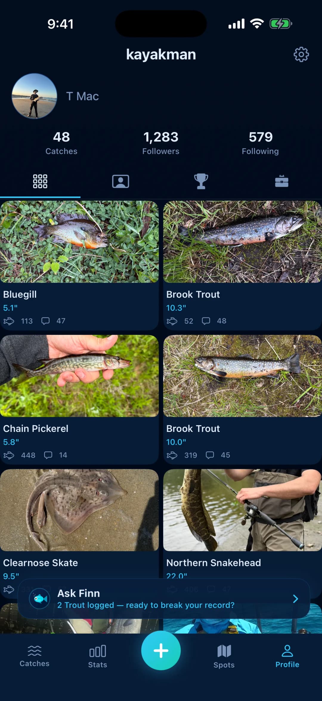 Species Identification, Logged automatically