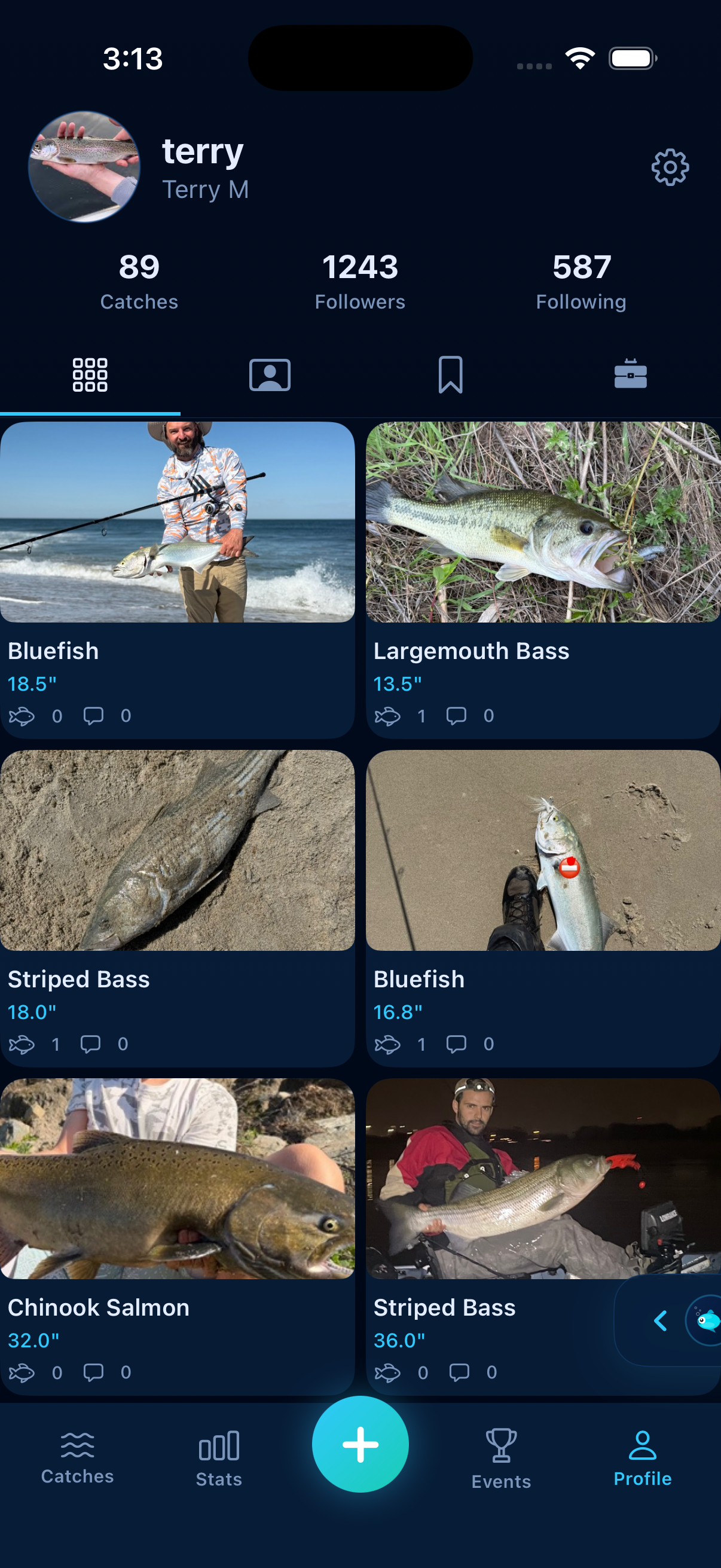 Profile catch grid